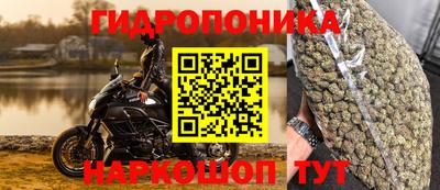 прущие крисы Донецк