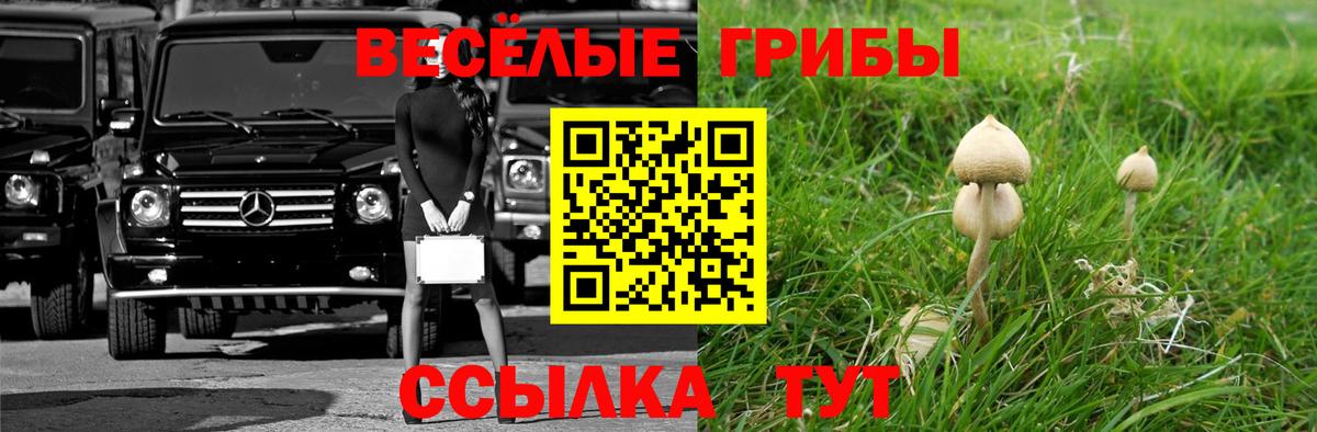 Псилоцибиновые грибы Magic Shrooms Камышлов